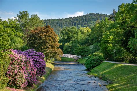 Black Forest In Germany And Its 6 Most Beautiful Spots