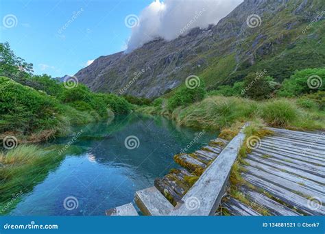 Wooden Bridge Over River In The Mountains Fiordland New Zealand 8