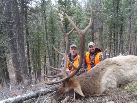 Montana Outfitter Journal Elk Hunting In Montana