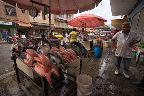 Outdoor Fish Market In Medellin Colombia Editorial Stock Photo Image
