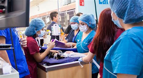 Urgencias 24 horas y Hospitalización | Banfield Hospital Veterinario