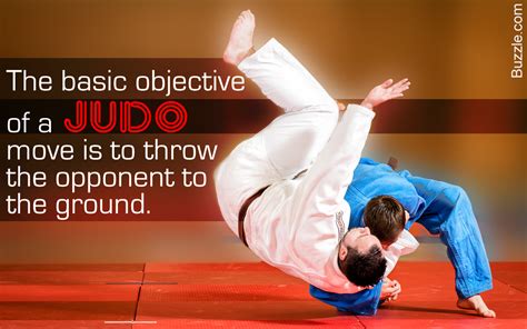 Judo Martial Arts Moves Art Giw