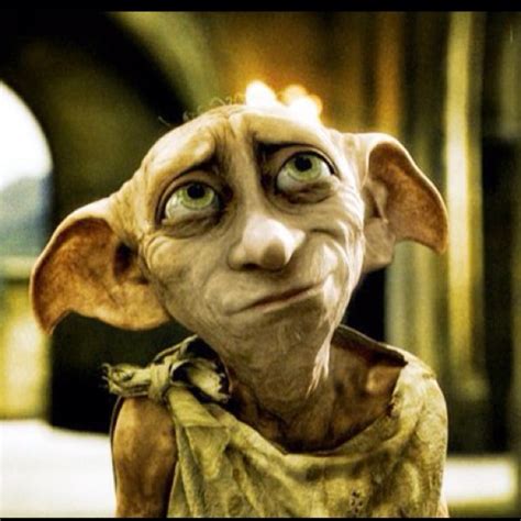 Dobby Un Personaje único Y Carismático De La Saga De Harry Potter