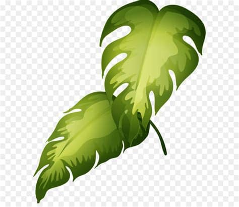 Terbaru 30 Gambar Gambar Daun Kartun - Kumpulan Gambar Kartun