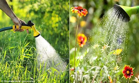 How much does it cost to visit? How much does it cost to water my garden with a hose ...