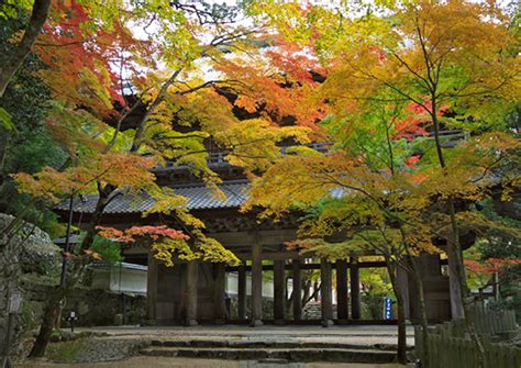 Eigenji Temple Founders Hall Dragon Story Welcome To The Shoryudo