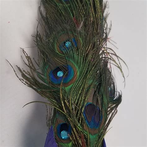 Peacock Home Decor Peacock Real Peacock Feathers 23 Etsy