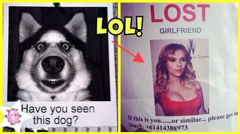Most Hilarious Missing Posters Ever Funny Lost And Found Posters Youtube