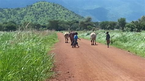 End Child Marriage Educate 100 Girls In Uganda Globalgiving