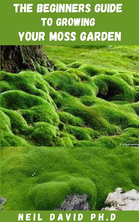 The Beginners Guide To Growing Your Moss Garden Essential Guide On How
