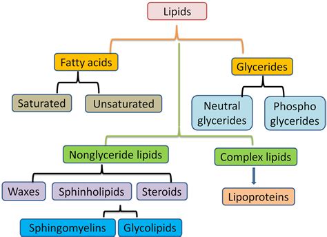 Biochemistry Notes Classification Of Lipids Differences Between