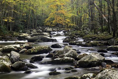 Smoky Mountain Fall Stream Stock Photo Image Of Beautiful 48471422
