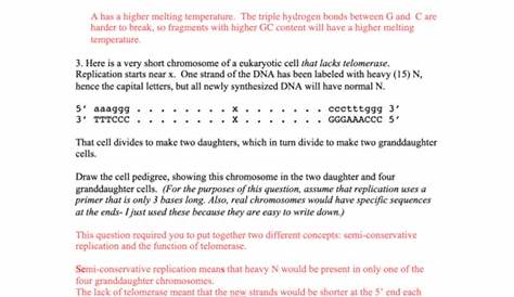 harry potter genetics worksheet