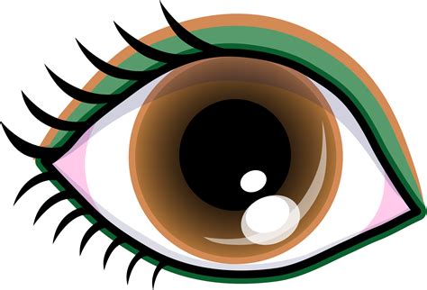 Best Brown Eyes Clipart 18282 Clipartion Com