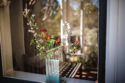 Flowers In Vase Behind Clear Glass Window Photo Free Image On Unsplash