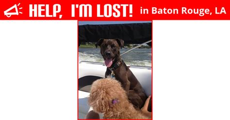 We deliver quality care to your pets with a focus on personal service and. Lost Dog (Baton Rouge, Louisiana) - Charlie
