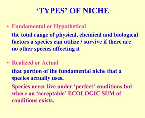 Niche Meaning