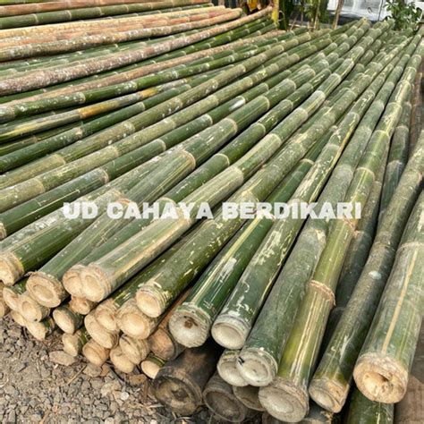 Jual Bambu Steger Bambu Bendera Bambu Tali Bambu Cerucuk Bambu Kaso
