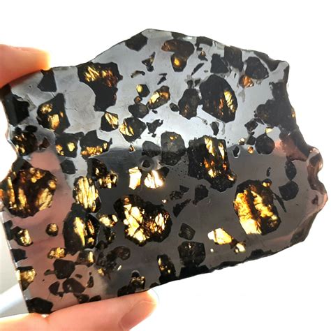 Nwa 2957 Meteorite One Of The Best Pallasites In The World Meteolovers