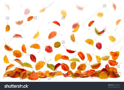 Autumn Leaves Falling Downselective Focus Motion Blur