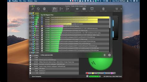 TreeSize for Mac: Free Download + Review [Latest Version]
