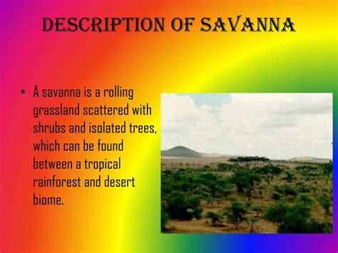 Ppt Savanna Powerpoint Presentation Free Download Id2371636