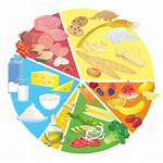 Healthy Nutrition Clipart Plate Clip Eating Icon