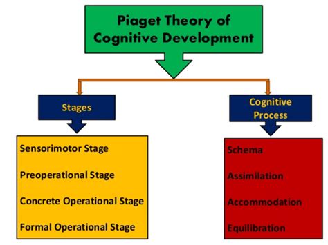 Cognitive Development Theory Of Jean Piaget Stages Of
