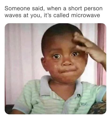 50 Hilarious Short People Memes That Will Crack You Up Za