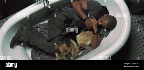 Will Smith Dog I Am Legend 2007 Stock Photo Alamy