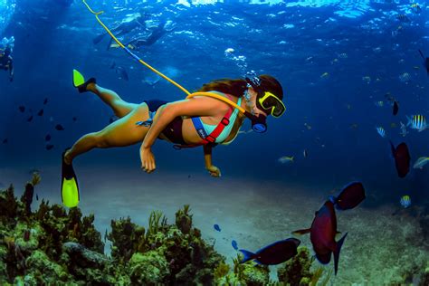 Snorkeling In Jamaica Costs And Tips DesertDivers
