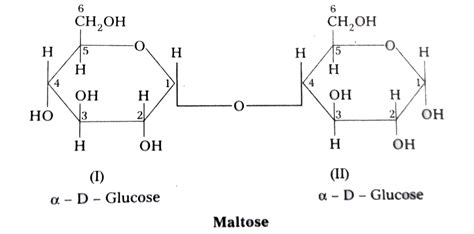 Structure Of Maltose Lactose And Sucrose