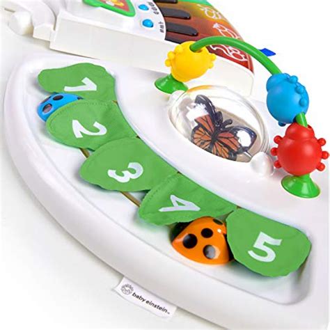 Baby Einstein Around We Grow 4 In 1 Discovery Activity Center