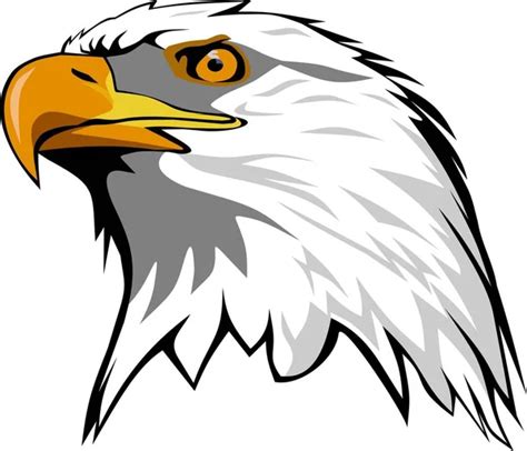 Vector Eagle Head — Stock Vector © Fishvector 137191288