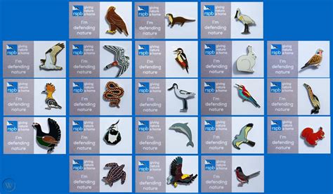 RSPB Pin Badge | Defending Nature Set of 21 Badges only 1 set available [00787] | #1778587477