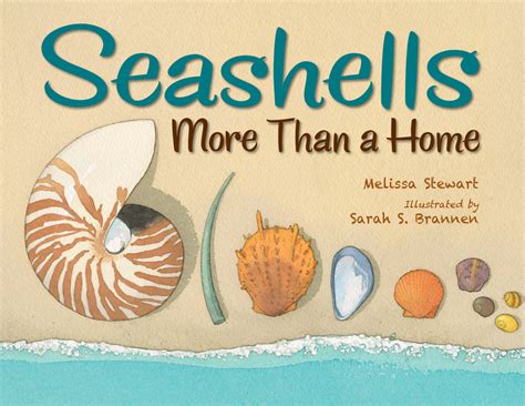 Seashells By Melissa Stewart Penguin Books Australia