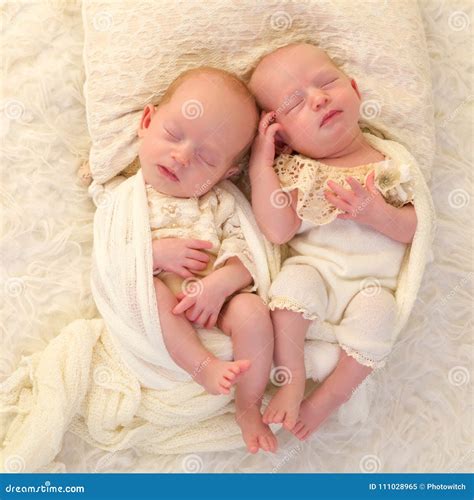 Sleeping Identical Twin Babies Stock Image Image Of Small Shawl