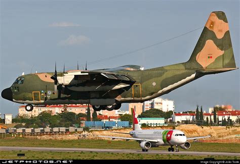 16804 Lockheed C 130h Hercules Portugal Air Force João Toste