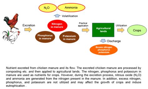 Estimation Of Nutrient Excretion Factors Of Broiler And Layer Chickens
