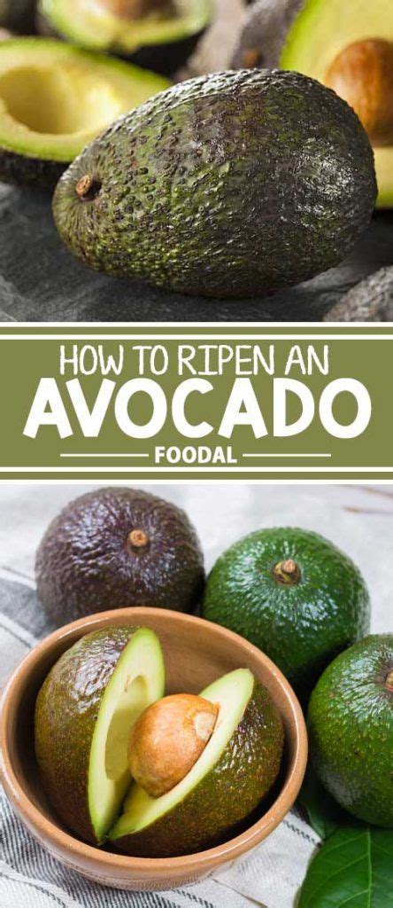 How To Ripen An Avocado Tips And Tricks Foodal Avocado Health