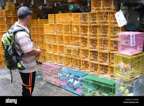 Yuen Po Bird Garden Birds Market Boundary Street Mong Kok Kowloon