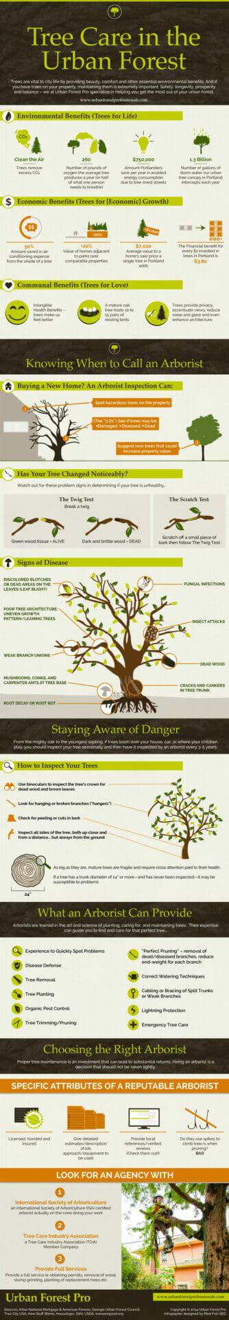 Tree Care In The Urban Forest Infographic