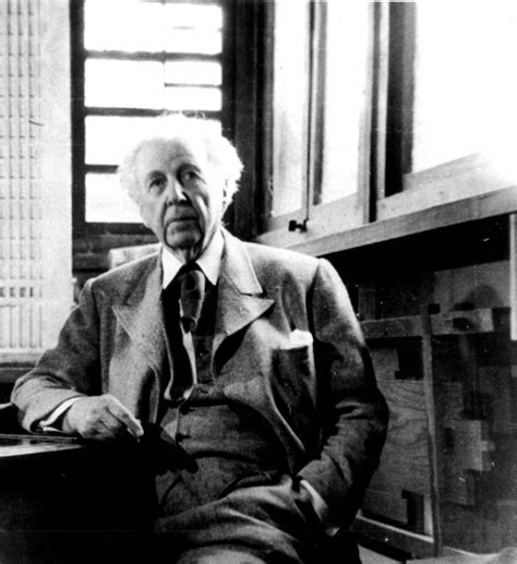 Frank Lloyd Wright Architecture And Design Dictionary Chicago