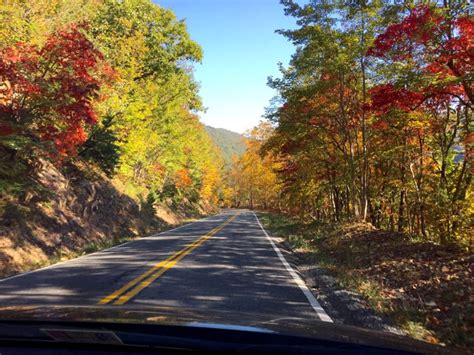 15 Fantastic Ways To Celebrate Fall In Northern Virginia Tendig