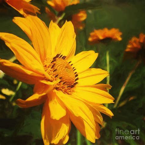 Yellow Flower Digital Art By Edwin Davis Fine Art America