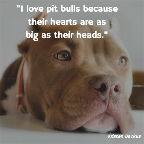 Pin By Brooke Smith On Its A Pittie Thing Pitbull Quotes