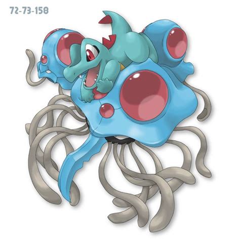 Tentacruel Tentacool Totodile