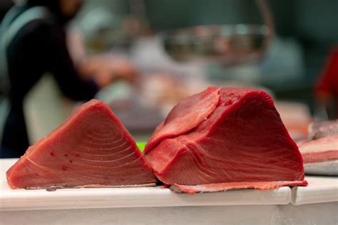 Escolar Vs Tuna Which Fish Is Healthier