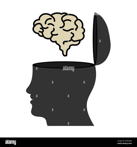 Human Head Open And Brain Vector Illustration Stock Vector Image And Art