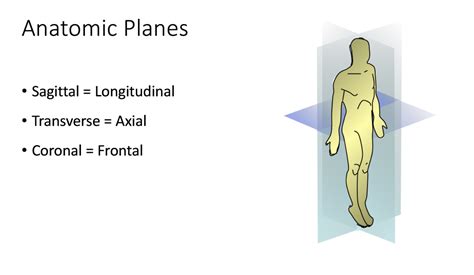Ultrasound Basics Anatomic Planes